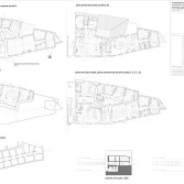 05_Vecchio-frantoio_piante