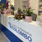 clinica-veterinaria-colombo-alessandro-rizzo-architetto-00