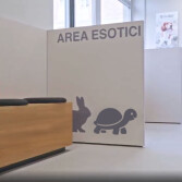 clinica-veterinaria-colombo-alessandro-rizzo-architetto-02
